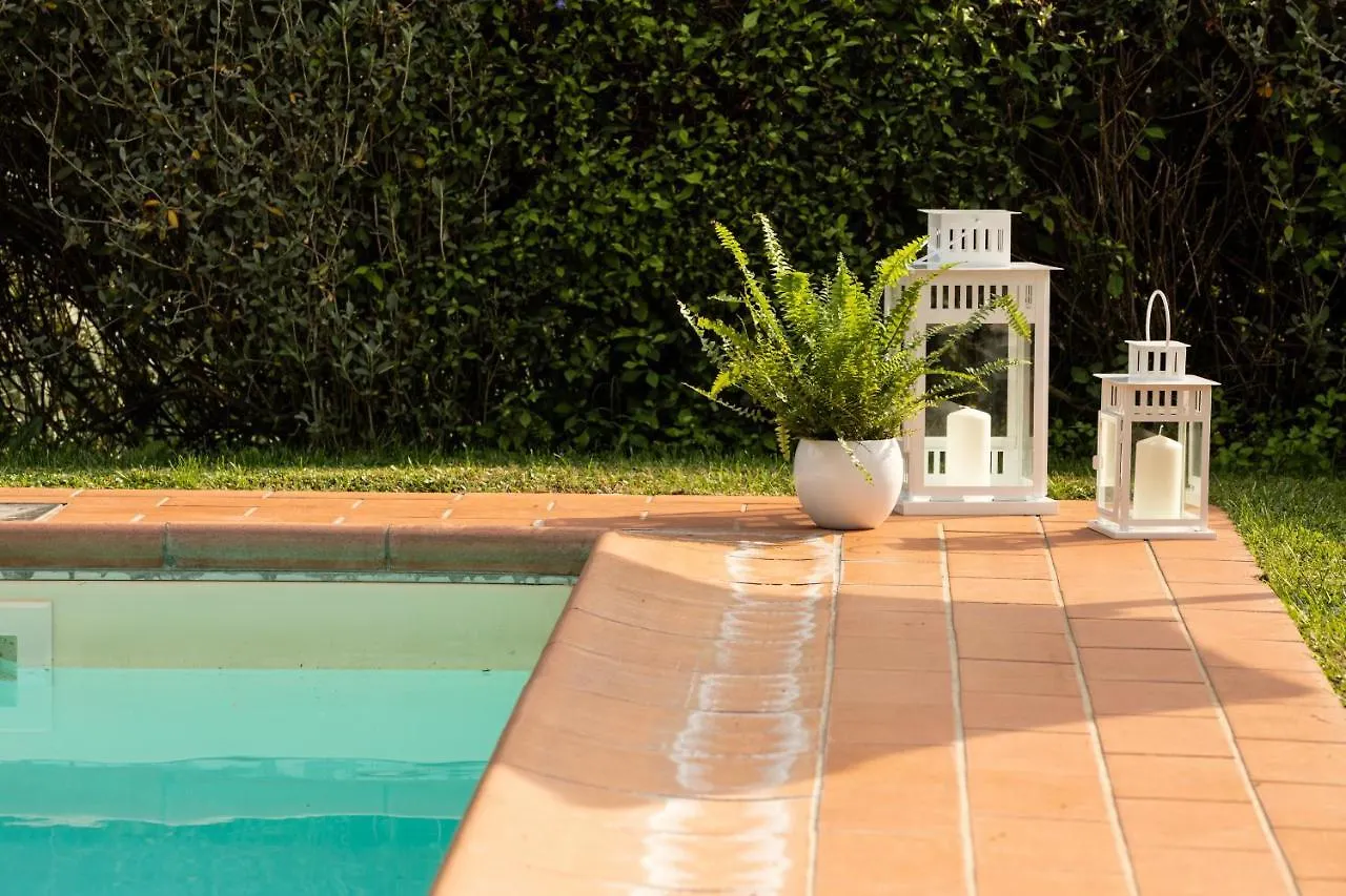 Casetta Di Butia, Glicine Apartment Borgo a Mozzano 0*,