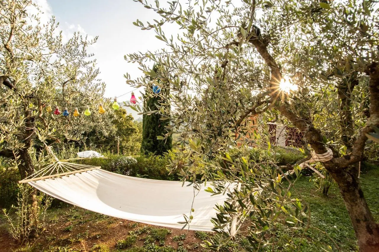 Casetta Di Butia, Glicine Apartment Borgo a Mozzano